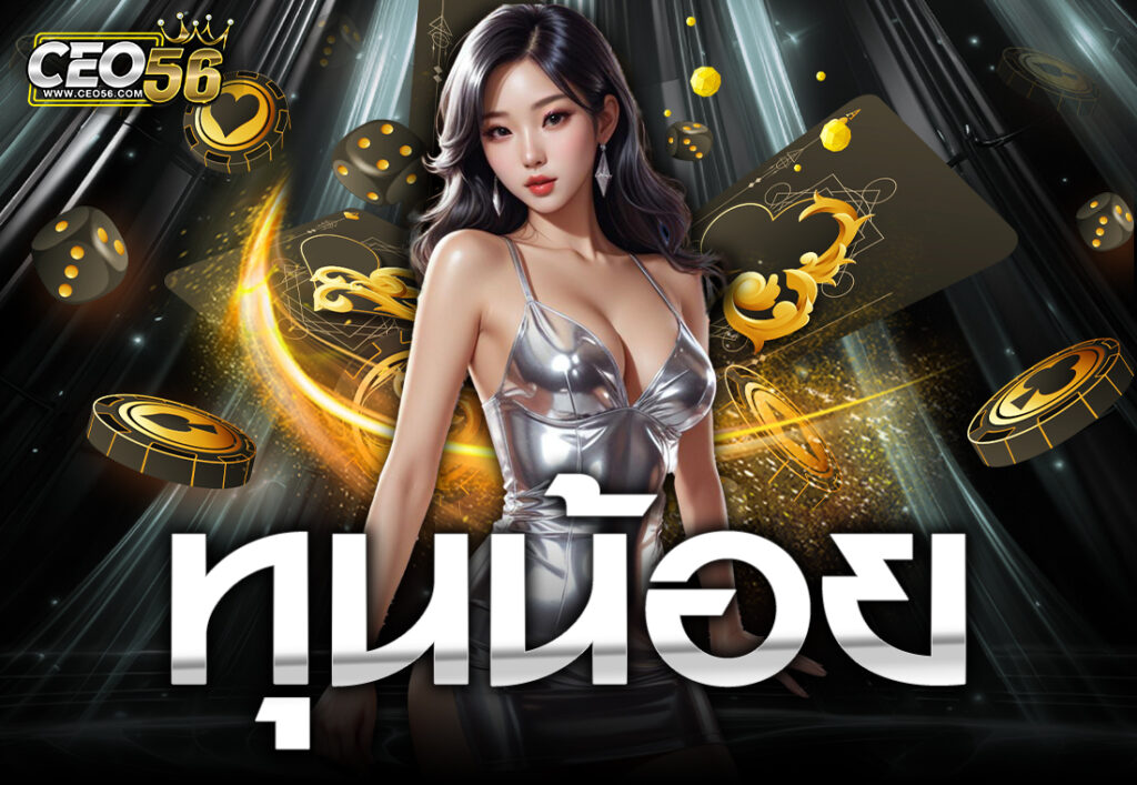 ทุนน้อย
