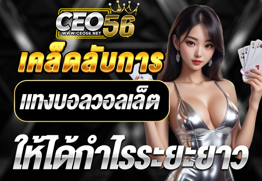 เคล็ดลับการ แทงบอลวอลเล็ต ให้ได้กำไรระยะยาว
